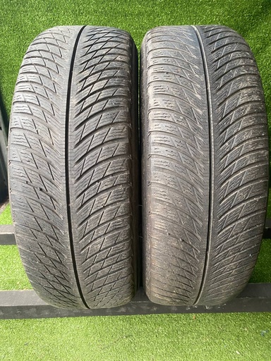 Michelin pilot 5 SUV R18 225 60 Зимові -